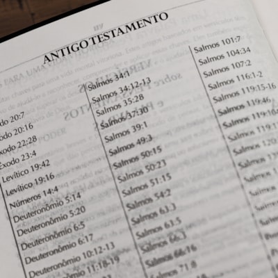 image_7fc9362e-3d95-45fd-a9ad-08cffaa46c7b