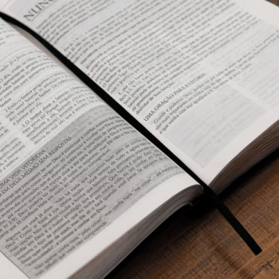 image_454df204-219b-4e76-85e1-fc7d1e5e456e