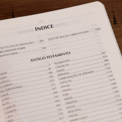 image_92879b9d-6ba8-4495-a00d-6bc7f5282614