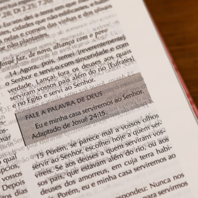 image_89f575ae-e9d6-40a0-a169-1a01408c3160