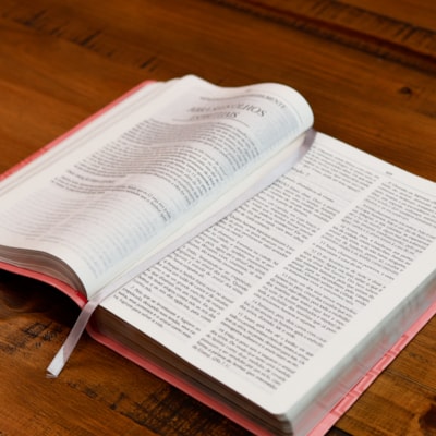 image_91034b87-81ee-43e6-92de-72934807cc08