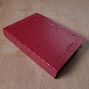Bíblia Campo de Batalha da Mente | NVA | Letra Normal | Capa Luxo Vermelha