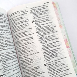 Bíblia Clássica Virtuosa | NVT | Letra Normal | Capa Dura
