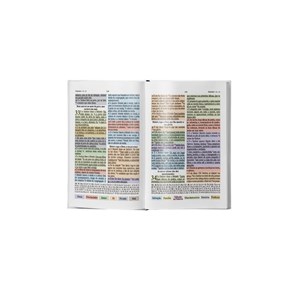 Bíblia Colorida Jovem | SBU | Letra Normal | Capa Luxo Marrom
