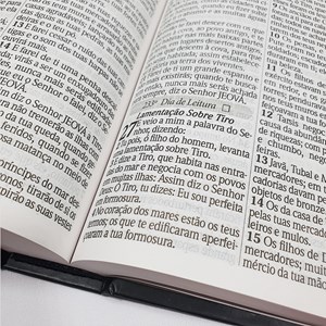 Bíblia com 365 Reflexões e Plano de Leitura | ARC | Hipergigante | Capa Dura