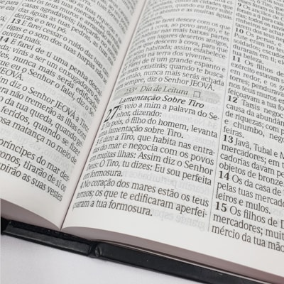 image_8d2150a4-1caf-4799-94f1-2cd806906a60