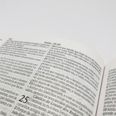 image_1d2c45d9-96a6-48cb-aede-13da6fe31fba