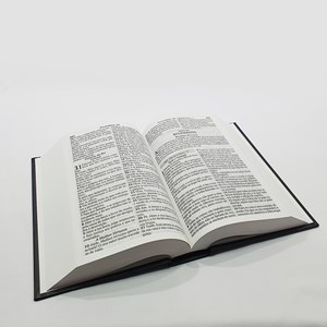 Bíblia com 365 Reflexões e Plano de Leitura | ARC | Hipergigante | Capa Dura