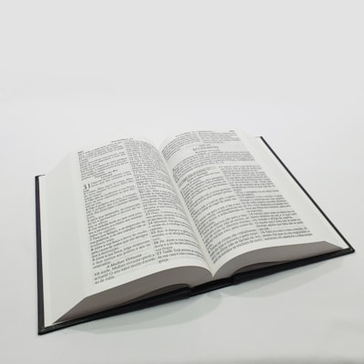 image_69d39b51-fd85-4e7f-bacc-fd37f67b20c9