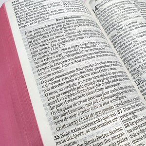 Bíblia com 365 Reflexões e Plano de Leitura | ARC | Hipergigante | Capa Dura Leão