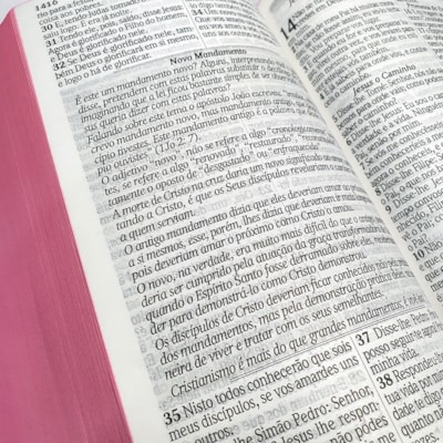 image_8d502d1f-e9e4-4e99-a711-47d3d8b12a07