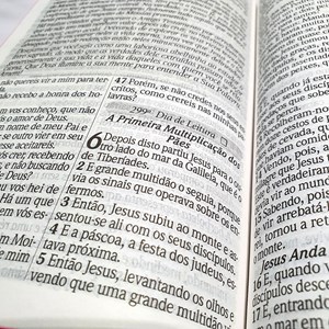 Bíblia com 365 Reflexões e Plano de Leitura | ARC | Hipergigante | Capa Dura Leão