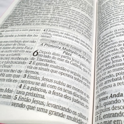 image_7a098e82-2a5a-412c-a122-9dea9fe847c5