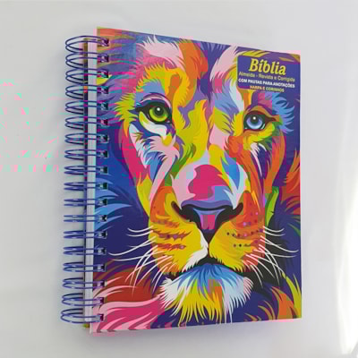 image_e11a3e7a-aa75-46d8-b30b-d4b72e81d126