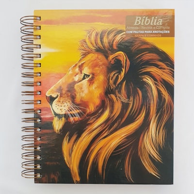 image_b91fc097-e48a-43ca-b92a-bf426df68484