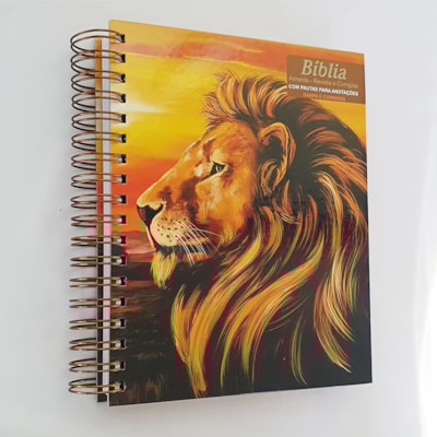 image_a898bb50-ae97-4f0c-b19c-916cc1954dfc