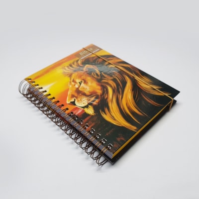 image_a11185aa-48af-4002-9d9a-77e89c256da0