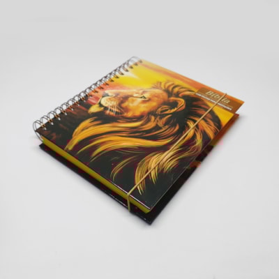 image_7f1d217a-0fbb-4886-bc28-2a258bbf3e8b