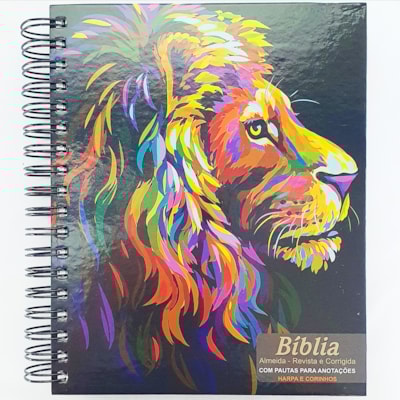 Imagem Principal - 3e5a6b53-fada-4fe0-af8a-c9cbc10c124b