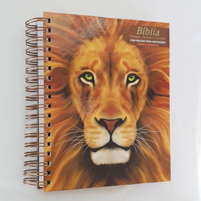 image_59f3362b-0764-475b-93ab-4640678e1af9