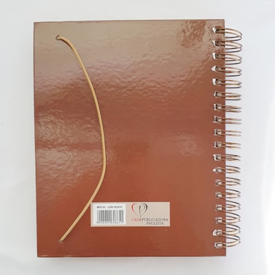 image_73b67065-fabb-4bfc-8edd-95da1fe2f7af