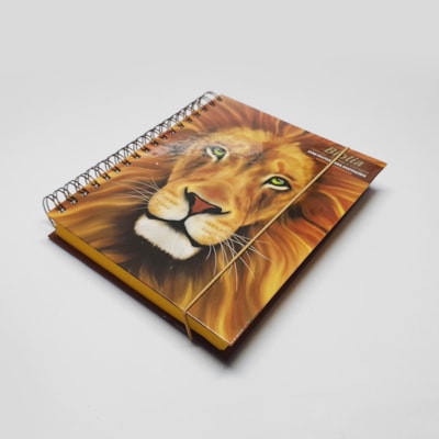 image_af0f2c14-5146-40e4-9dde-c557fa5fdc36