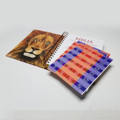 image_fc7e9e98-b943-4eb8-b417-068c9e4b4de2