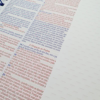 image_ccf440a8-c488-4491-ae37-f4ed80be30be