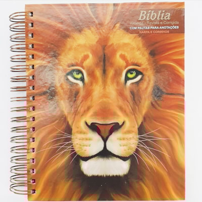 Imagem Principal - 8e750bf5-b87f-4d85-b2ca-70ab6c854a52