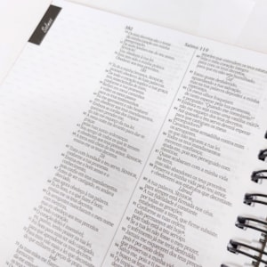 Segunda imagem do produto Bíblia com Espaço para Anotações | NVI | Letra Normal | Leão Aquarela