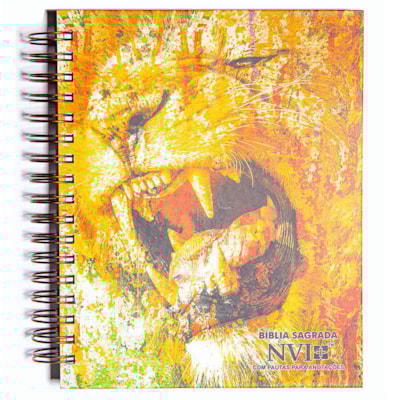 Imagem Principal - 6141ec45-ed37-4475-9504-30a4c2d4899f