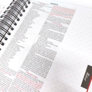 Segunda imagem do produto Bíblia com Espaço para Anotações | NVI | Letra Normal | Leão Oculto