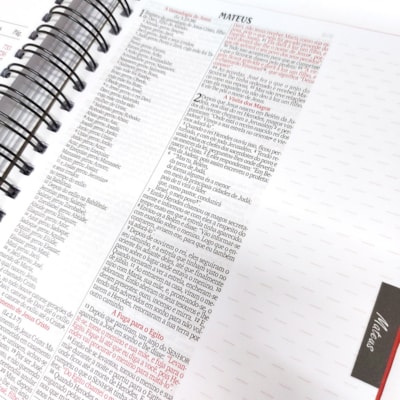 image_abc8c5e8-6ebe-4ff4-9396-0b0c7705680c