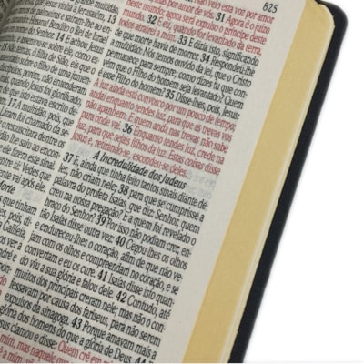 image_1a138e6b-ac8a-49a2-9622-a0dd6b6f9164