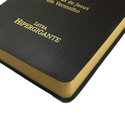 image_8cf56559-7bd0-47ba-b72d-d1c6a0645386