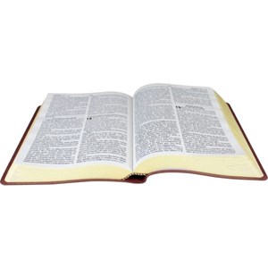 Bíblia com Harpa Cristã | Letra Grande | ARC | Couro Marrom