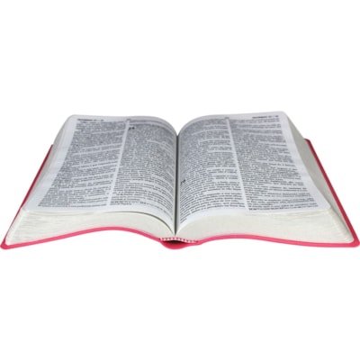 image_7eff6b24-7b01-4ab9-826a-8e398fb705da