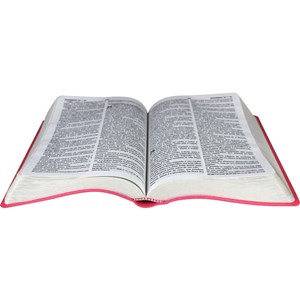 Bíblia com Harpa Cristã | Letra Grande | ARC | Couro Rosa Escuro