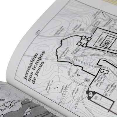 image_7808ca13-5a3e-4509-abb4-363bf65c4bf9