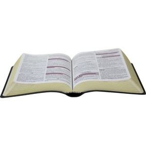 Bíblia com Harpa Cristã | Letra Maior | ARC | Couro Preta