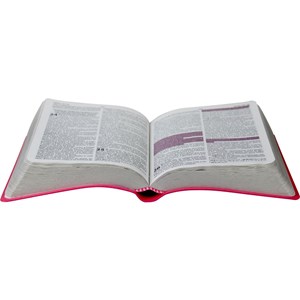 Bíblia com Harpa Cristã | Letra Maior | ARC | Couro Rosa