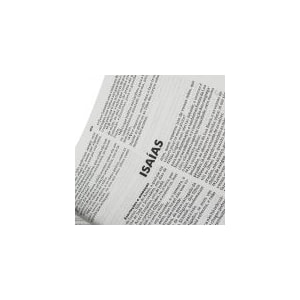 Segunda imagem do produto Bíblia com Harpa Cristã | Letra Normal | ARC | Capa Couro Verde