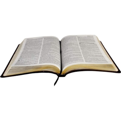 image_c0d09800-d6de-43a9-ac3c-57d13bbc2733