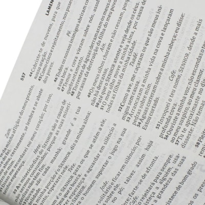 image_d4596f9a-ccaf-414b-8eb5-5ee1aceb0b7e