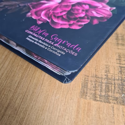 image_b95a0508-9f9f-479f-b8b0-9351fec518ba