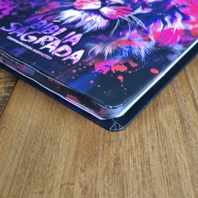 image_12a5ed2f-bbf9-4d78-ae2f-c3f97f8581a8