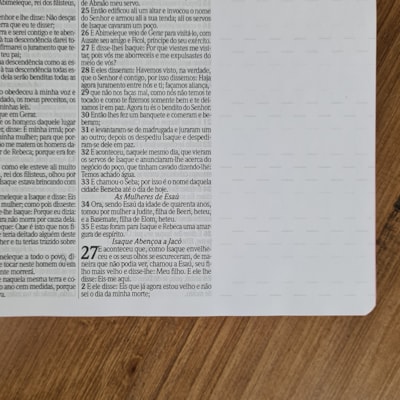 image_4e96036f-6ee8-4172-9a76-0c0fbd8d288e