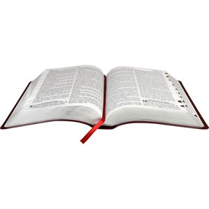 Bíblia Concordância, Dicionário e Harpa Cristã | Letra Grande | ARC | Capa Couro Vinho c/ índice