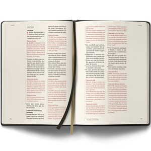 Bíblia Contexto | Evangelho e Atos | NVT | Capa Dura | Leão