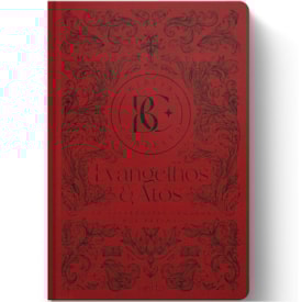 Bíblia Contexto | Evangelho e Atos | NVT | Capa Dura |Ornamentos